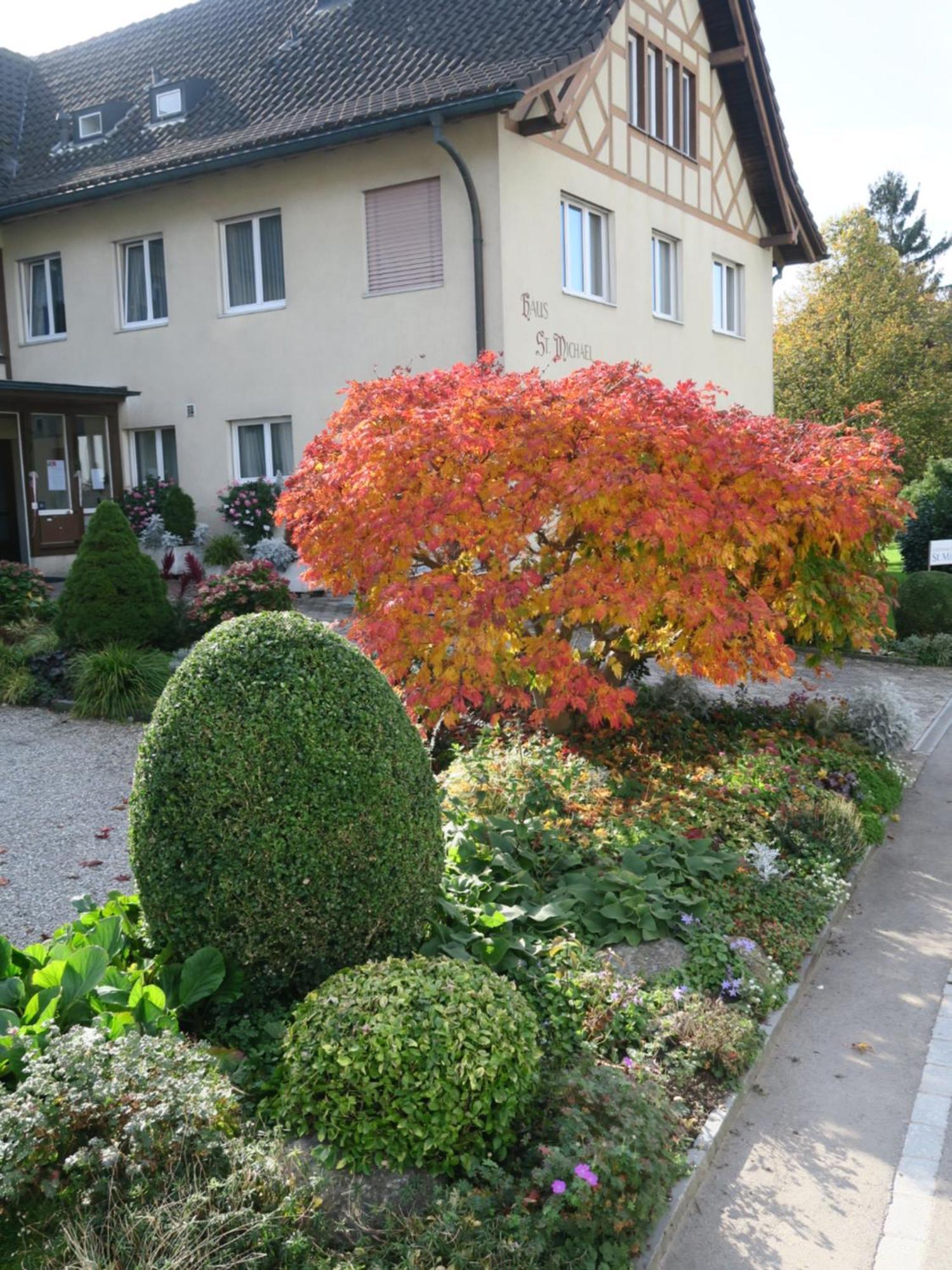 Haus St.michael 3* Dozwil